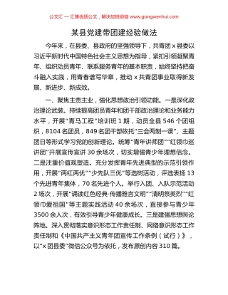 某县党建带团建经验做法