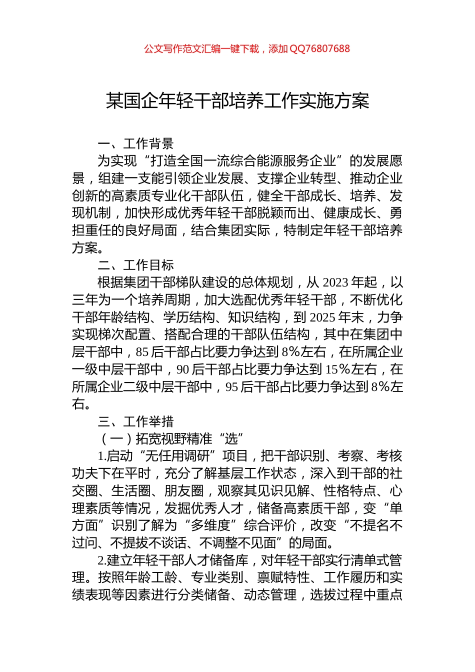 某国企年轻干部培养工作实施方案_第1页