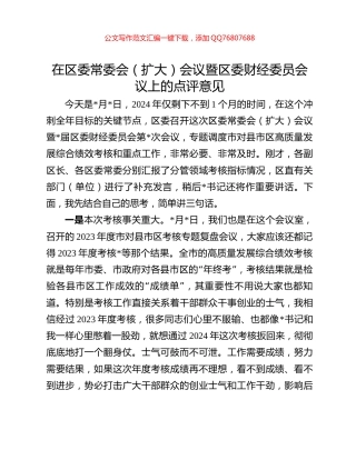 在区委常委会（扩大）会议暨区委财经委员会议上的点评意见