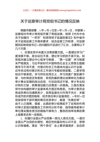 关于巡察审计局党组书记的情况反映