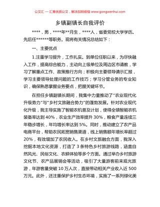 乡镇副镇长自我评价
