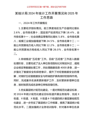 某统计局2024年统计工作开展情况和2025年工作思路