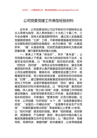 公司党委党建工作典型经验材料