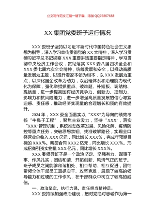XX集团党委班子运行情况