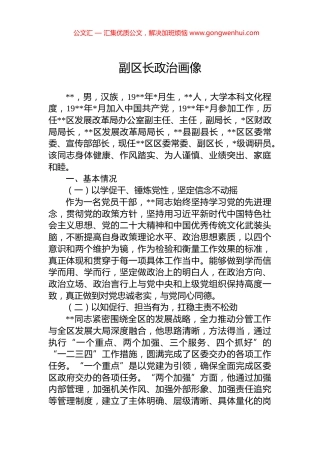 副区长政治画像