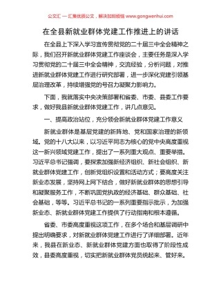 在全县新就业群体党建工作推进上的讲话