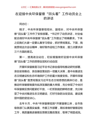 在迎接中央环保督察“回头看”工作动员会上的讲话