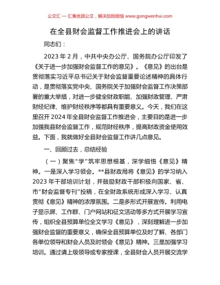 在全县财会监督工作推进会上的讲话