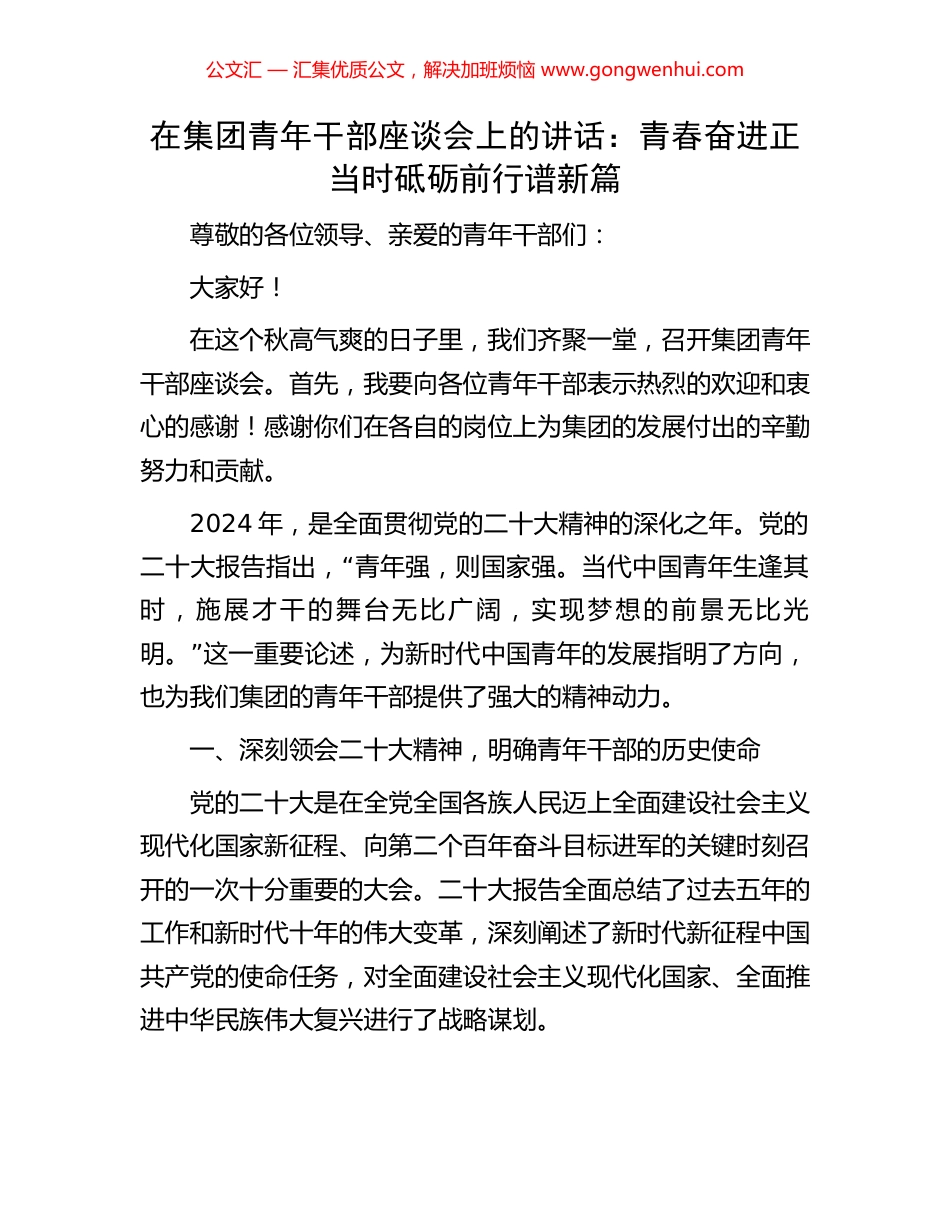 在集团青年干部座谈会上的讲话：青春奋进正当时砥砺前行谱新篇_第1页