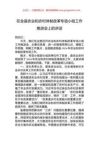 在全县农业和农村体制改革专项小组工作推进会上的讲话