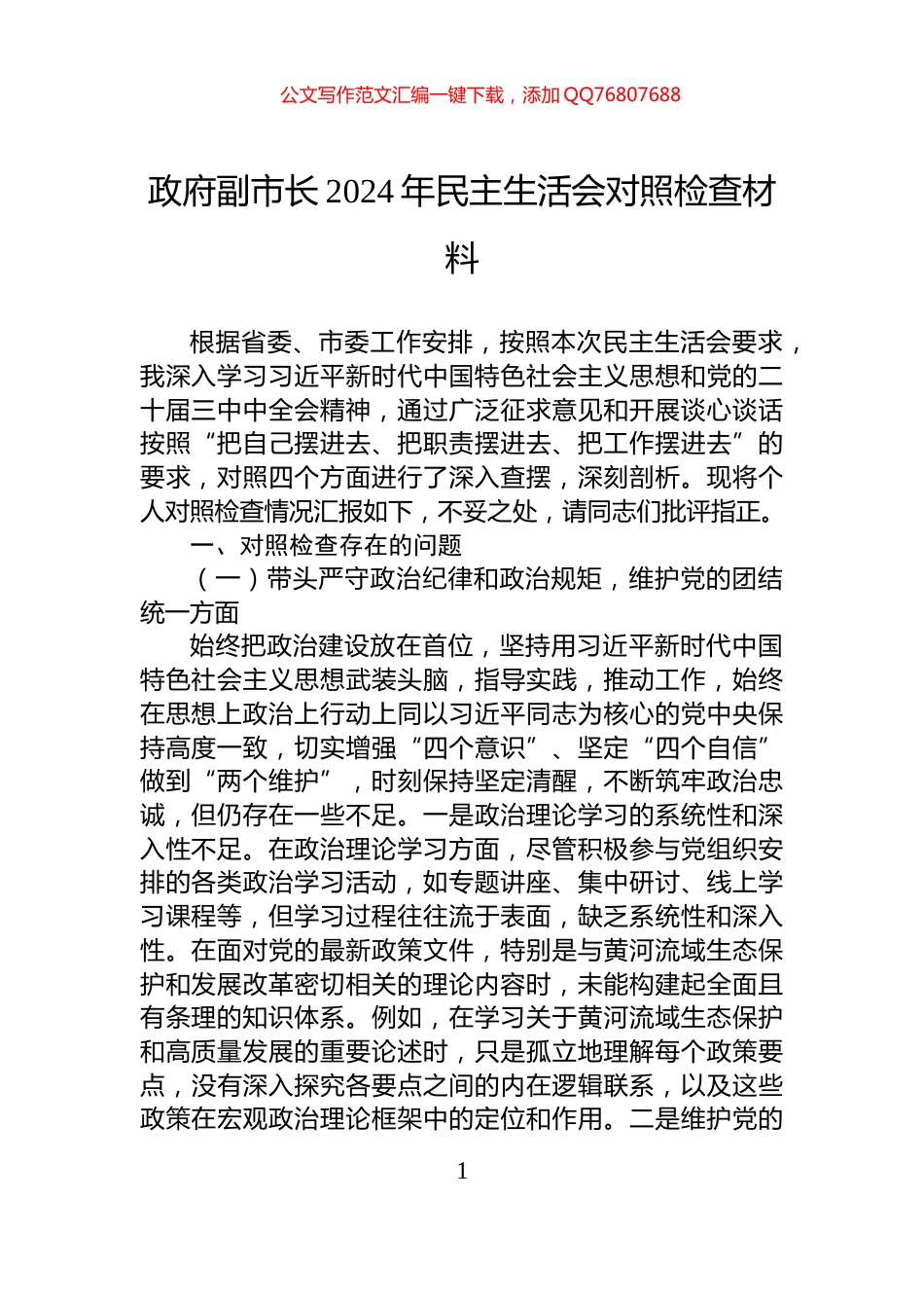 政府副市长2024年民主生活会对照检查材料_第1页