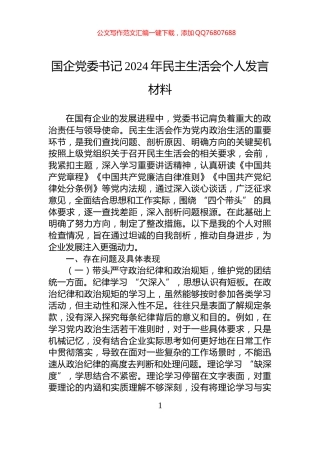 国企党委书记2024年民主生活会个人发言材料