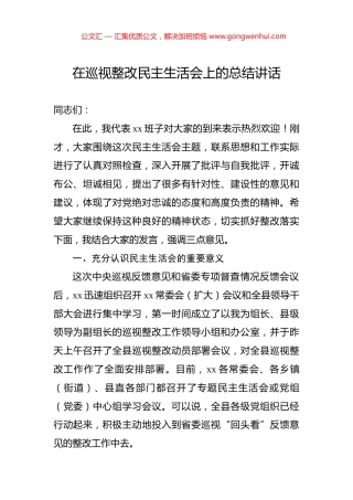 在巡视整改民主生活会上的总结讲话