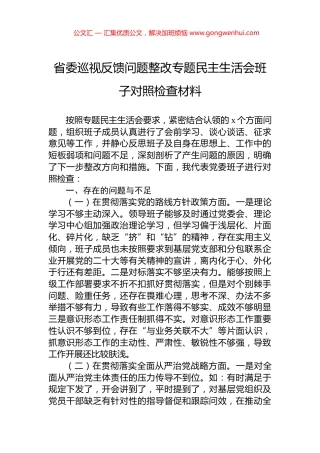 省委巡视反馈问题整改专题民主生活会班子对照检查材料 (2)