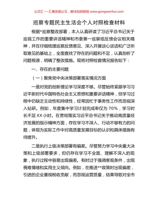 巡察专题民主生活会个人对照检查材料