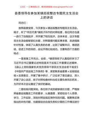 县委领导在参加某镇巡视整改专题民主生活会上的讲话