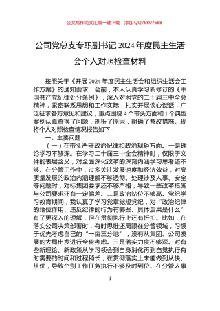 公司党总支专职副书记2024年度民主生活会个人对照检查材料