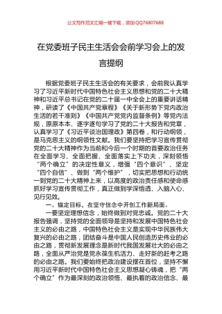 在党委班子民主生活会会前学习会上的发言提纲