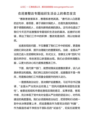 在巡查整改专题组织生活会上的表态发言