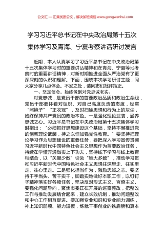 学习习近平总书记在中央政治局第十五次集体学习及青海、宁夏考察讲话研讨发言