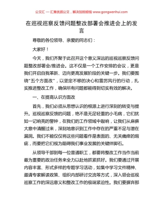 在巡视巡察反馈问题整改部署会推进会上的发言
