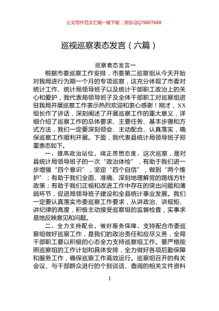巡视巡察表态发言（六篇）
