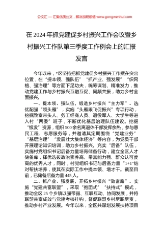 在2024年抓党建促乡村振兴工作会议暨乡村振兴工作队第三季度工作例会上的汇报发言