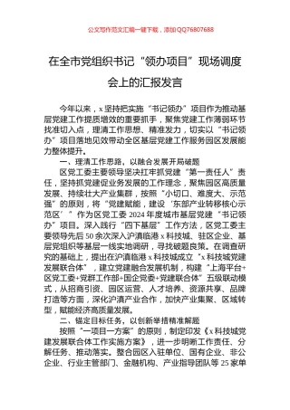 在全市党组织书记“领办项目”现场调度会上的汇报发言