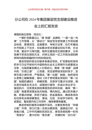 分公司在2024年集团基层党支部建设推进会上的汇报发言