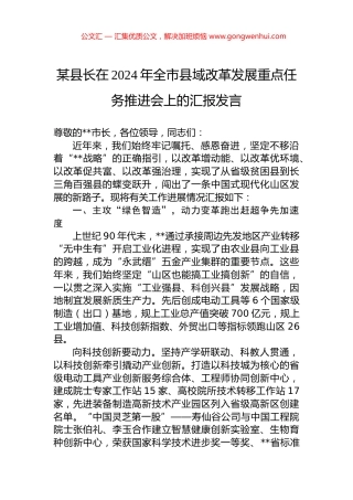 某县长在2024年全市县域改革发展重点任务推进会上的汇报发言 (2)