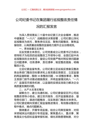公司纪委书记在集团履行巡视整改责任情况的汇报发言