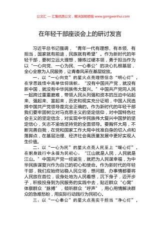 在年轻干部座谈会上的研讨发言 (2)