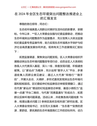 在2024年全区生态环境突出问题整改推进会上的汇报发言