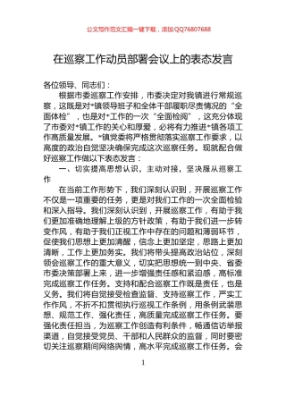 在巡察工作动员部署会议上的表态发言
