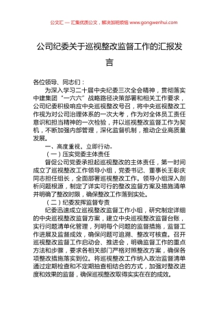 公司纪委关于巡视整改监督工作的汇报发言 (2)