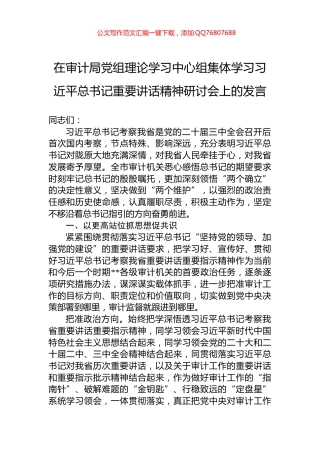 在审计局党组理论学习中心组集体学习习近平总书记重要讲话精神研讨会上的发言
