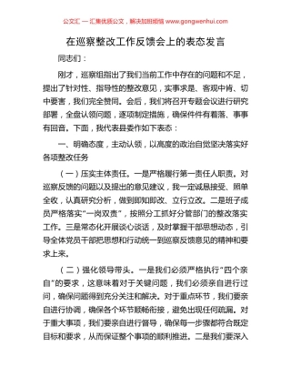 在巡察整改工作反馈会上的表态发言