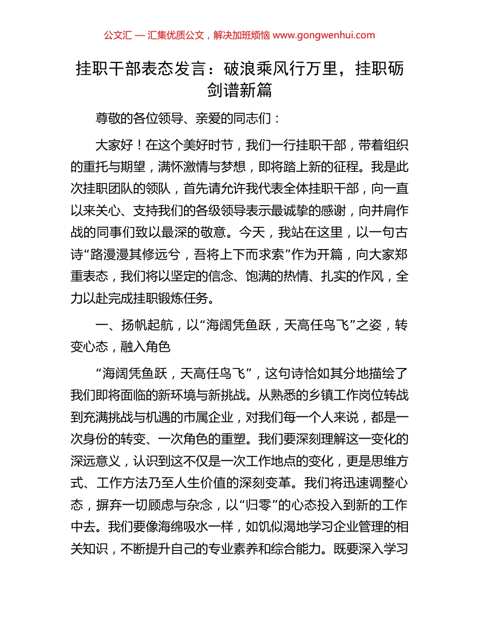 挂职干部表态发言：破浪乘风行万里，挂职砺剑谱新篇_第1页
