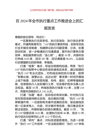 在2024年全市执行重点工作推进会上的汇报发言