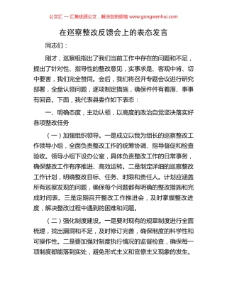在巡察整改反馈会上的表态发言