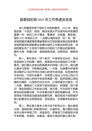 县委组织部2025年工作务虚会发言
