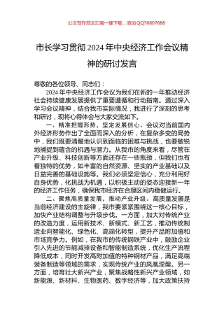市长学习贯彻2024年中央经济工作会议精神的研讨发言