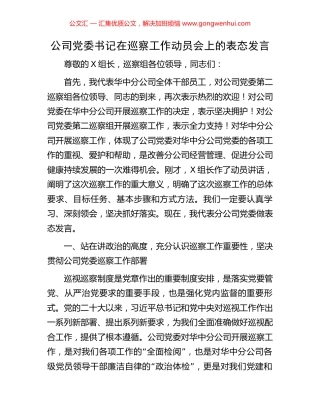公司党委书记在巡察工作动员会上的表态发言