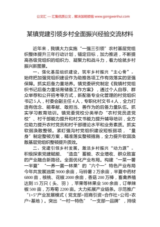 某镇党建引领乡村全面振兴经验交流材料
