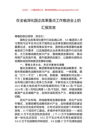在全省深化国企改革重点工作推进会上的汇报发言 (2)