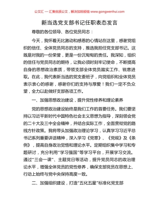 新当选党支部书记任职表态发言