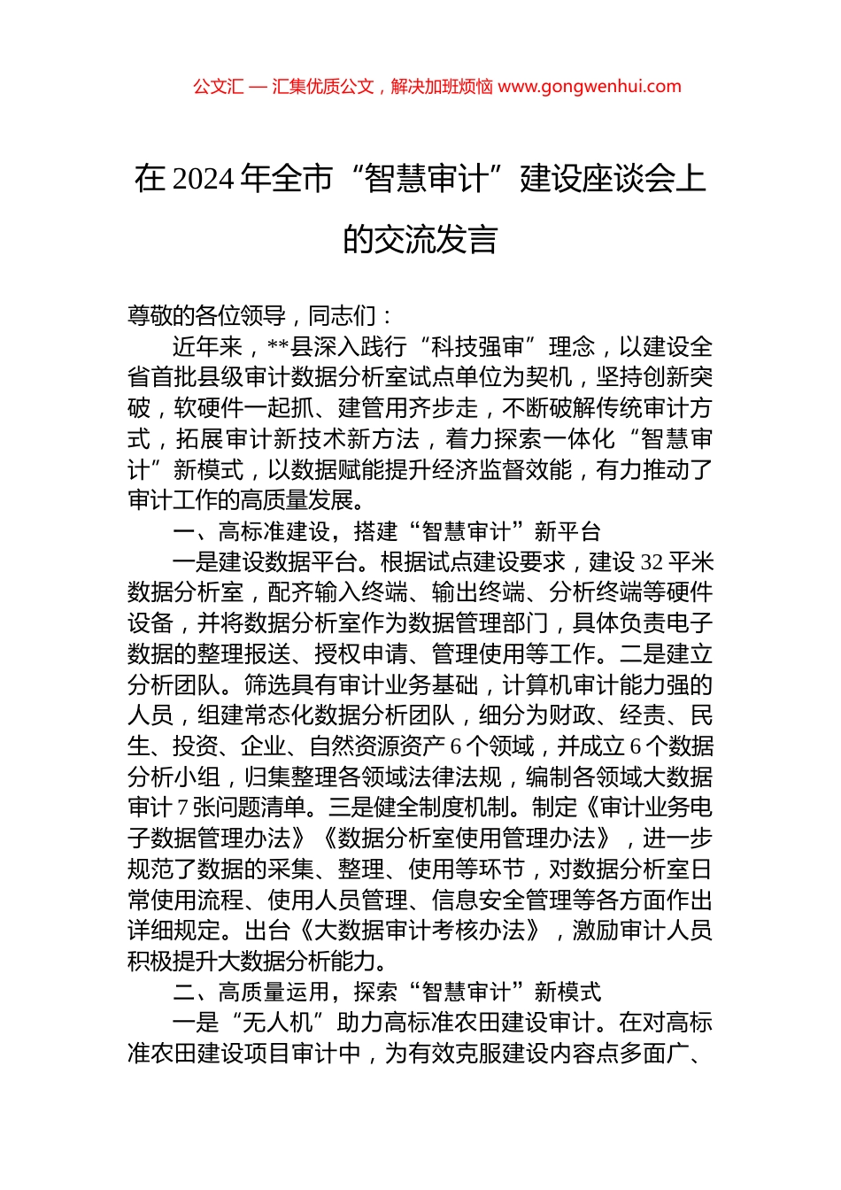 在2024年全市“智慧审计”建设座谈会上的交流发言_第1页
