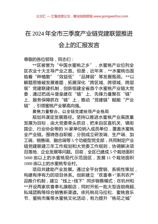 在2024年全市三季度产业链党建联盟推进会上的汇报发言