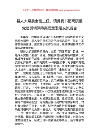县人大常委会副主任、镇党委书记高质量党建引领保障高质量发展交流发言