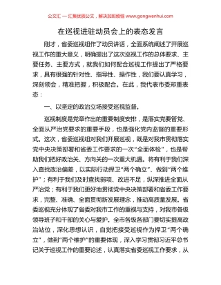 在巡视进驻动员会上的表态发言